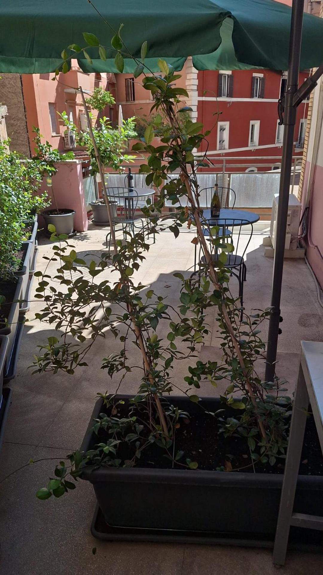 Nasoni Di Roma Aparthotel Exterior photo